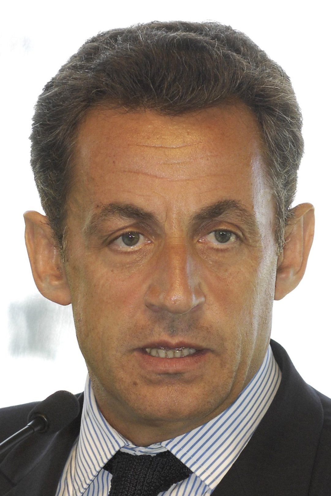 Nicolas Sarkozy MEDEF Head